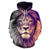 Lion Hoodies Hooded Sweatshirt